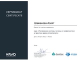 shamanova-2
