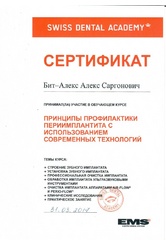 bit-alex-2