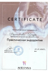 talyibova-4